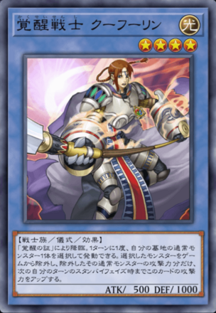 覚醒戦士 クーフーリンの画像