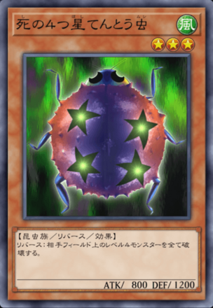 死の４つ星てんとう虫の画像