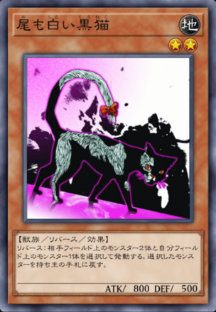 尾も白い黒猫の画像