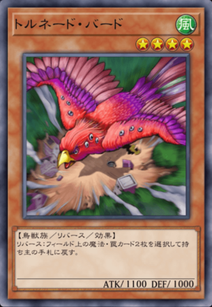 トルネード・バードの画像