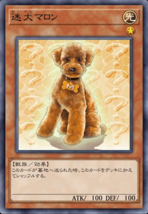 迷犬マロンの画像