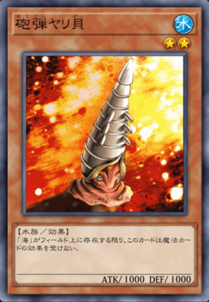 砲弾ヤリ貝の画像