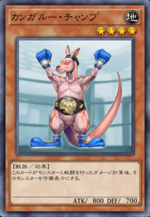 カンガルー・チャンプの画像