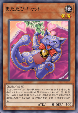 またたびキャットの画像