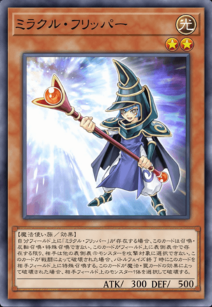 ミラクル・フリッパーの画像