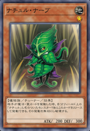 ナチュル・ナーブの画像