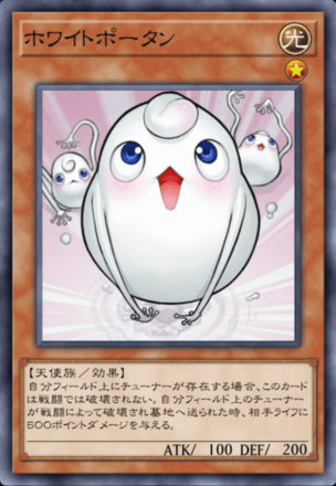 ホワイトポータンの画像