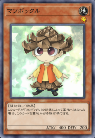 マツボックルの画像