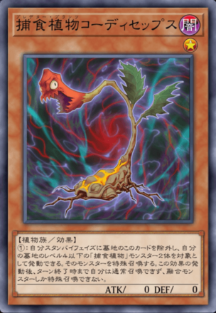 捕食植物コーディセップスの画像