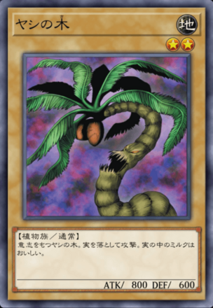 ヤシの木の画像