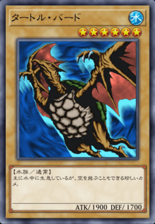 タートル・バードの画像