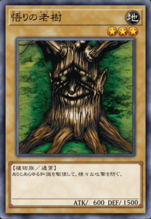 悟りの老樹の画像