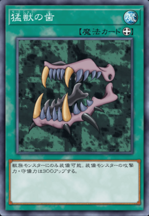 猛獣の歯画像