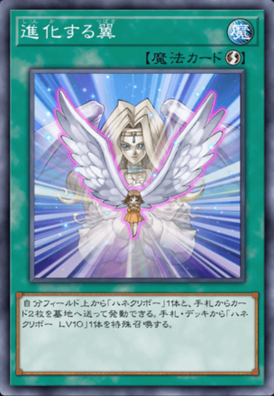 進化する翼画像