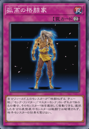 孤高の格闘家の画像