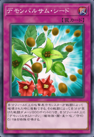 デモンバルサム・シードの画像