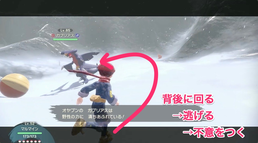 ガブリアスおやぶん