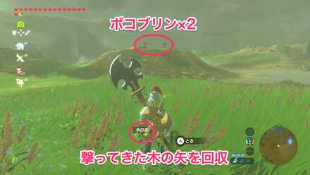 始まりの塔下のボコブリン