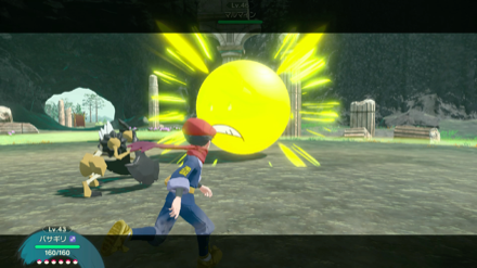 ポケモンバトルを仕掛ける