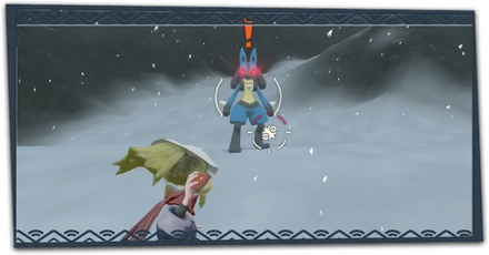 オヤブン捕獲