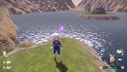 ポケモンアルセウスのともしび9場所