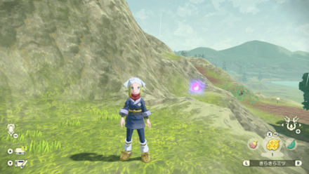 ポケモンアルセウスのともしび11場所