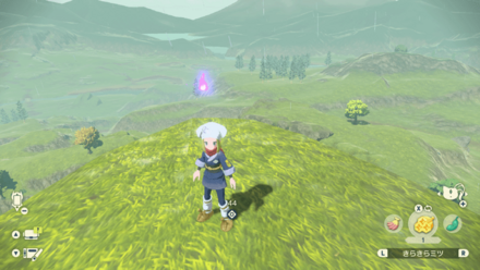 ポケモンアルセウスのともしび12場所