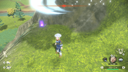 ポケモンアルセウスのともしび13場所