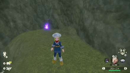 ポケモンアルセウスのともしび14場所