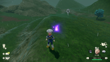 ポケモンアルセウスのともしび19場所