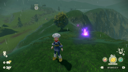 ポケモンアルセウスのともしび18場所