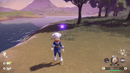 ポケモンアルセウスのともしび23場所