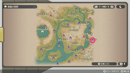 ポケモンアルセウスのともしび19マップ