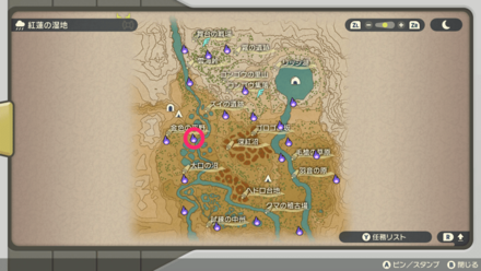 ポケモンアルセウスのともしび29マップ