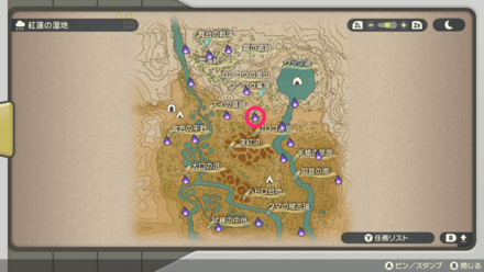 ポケモンアルセウスのともしび41マップ