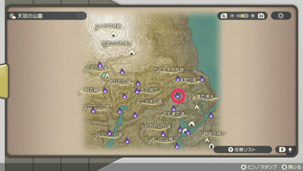 ポケモンアルセウスのともしび74マップ