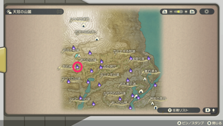 ポケモンアルセウスのともしび85マップ