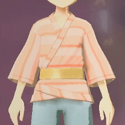 柄付き道中着 横縞画像