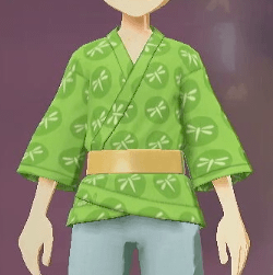 ポケモン道中着 たまむし画像