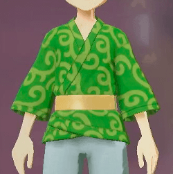 柄付き道中着 唐草画像