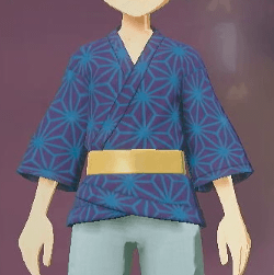 柄付き道中着 麻の葉画像