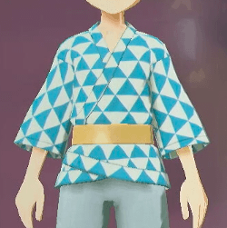 柄付き道中着 鱗画像