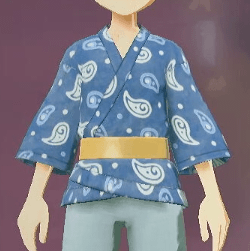 柄付き道中着 勾玉画像