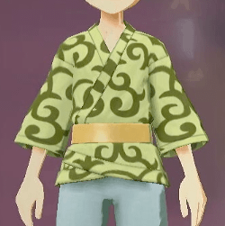 柄付き道中着 洋唐草画像