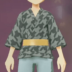 柄付き道中着 千鳥画像