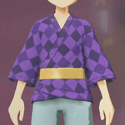 柄付き道中着 道化画像