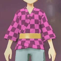 柄付き道中着 市松画像