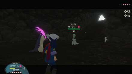 ゴーストタイプを連れて行く