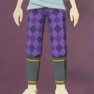 柄付き股引 道化画像