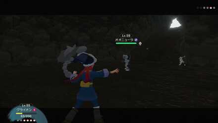 オオニューラは別で対策をする